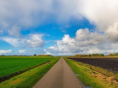 Trusted Tar & Chip Surface Dressing contractors near Sussex, Surrey & Kent